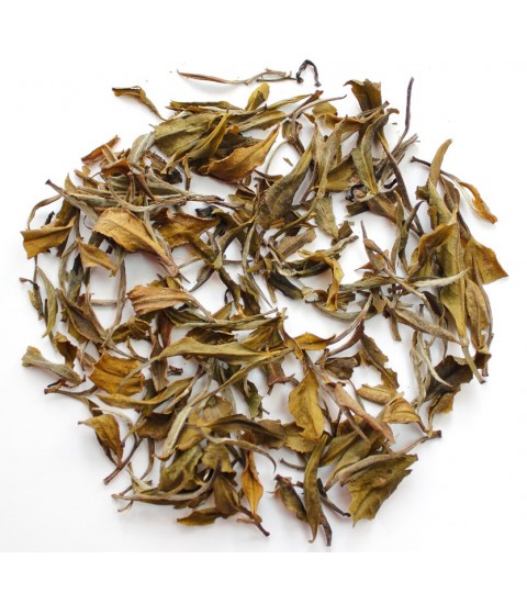 Darjeeling Gopaldhara Silver Tips