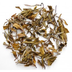 Darjeeling Gopaldhara Silver Tips