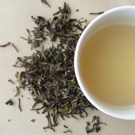 Darjeeling Spring Flush Tea