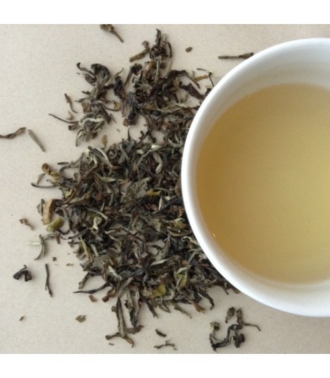 Vintage Gopal Dhara Darjeeling First Flush