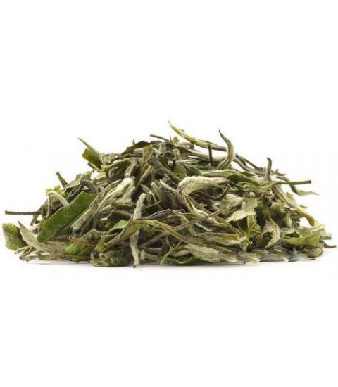 Silver Needle - White Tea - Nilgiris