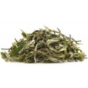 Silver Needle - White Tea - Nilgiris