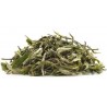Silver Needle - White Tea - Nilgiris